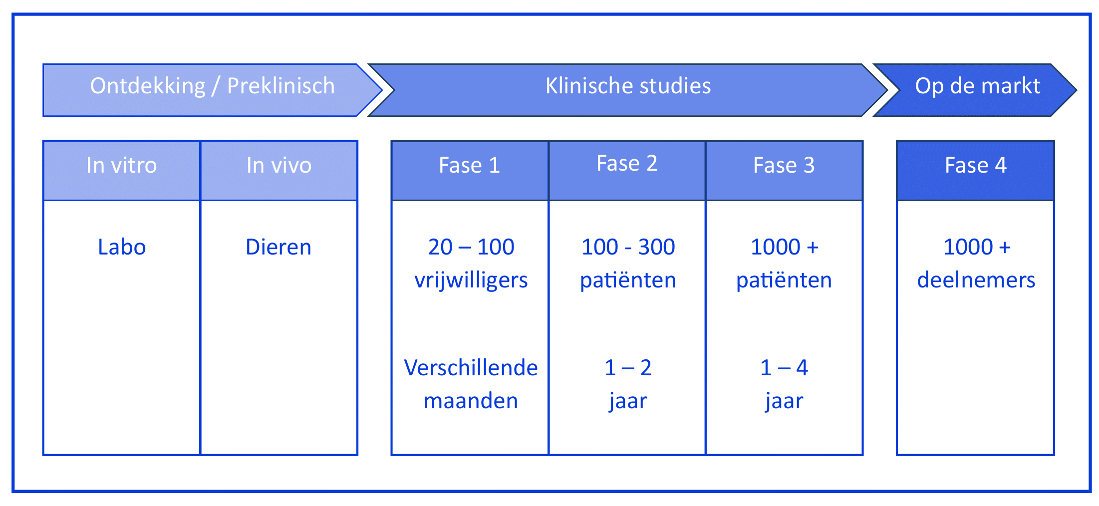 4 fases van onderzoek